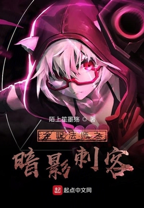 全职法师之暗影刺客