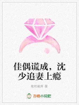 佳偶谎成,沈少追妻上瘾