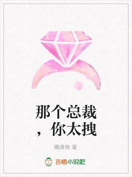 那个总裁,你太拽