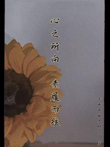 心之所向素履而往