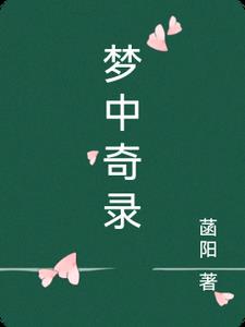 梦中奇录