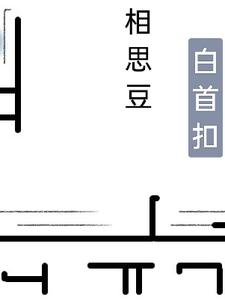 相思豆，白首扣