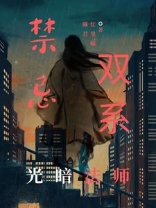 禁忌双系，光暗法师