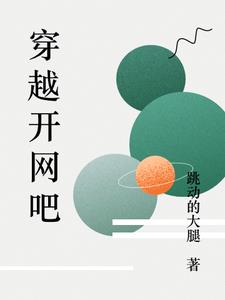 穿越开网吧