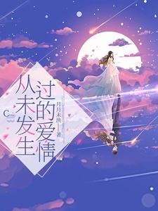 从未发生过的爱情