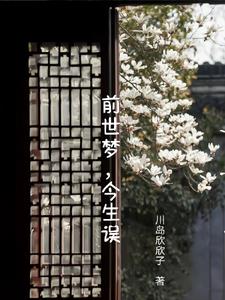 前世梦，今生误