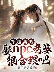 穿越游戏，娶npc老婆很合理吧