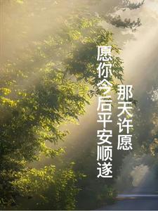 那天许愿，愿你平安顺遂