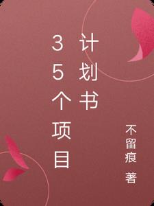 35个项目计划书