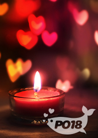 笨蛋女配修罗场NP