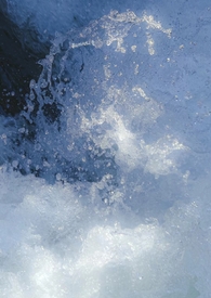 赎风(夜场女X太子爷)