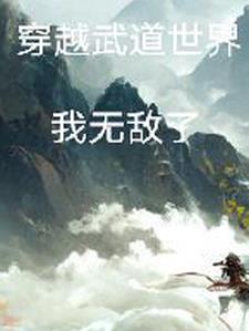 穿越武道世界的我无敌了