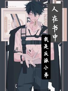 人在书中：我是反派小弟