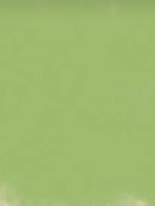 盗墓之我的蝴蝶效应