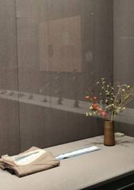 自救指南（np）