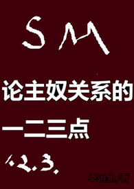 论主奴关系的一二三点（高HSM）