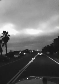 仇人失忆后被我捡回床上了