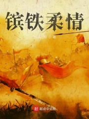 镔铁柔情
