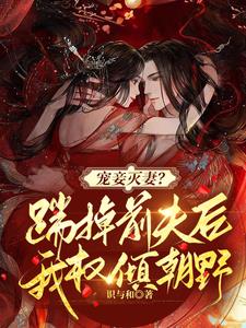 宠妾灭妻？踹掉前夫后我权倾朝野