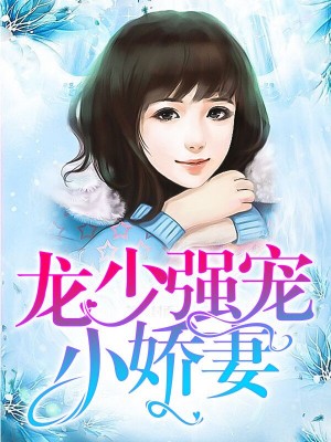 龙少强宠小娇妻沈念初龙洐澈