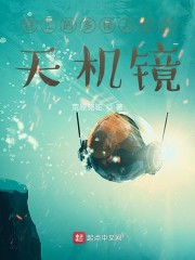 特工的多样人生之天机镜