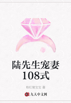 陆先生宠妻108式