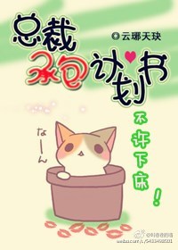 总裁承包策划书